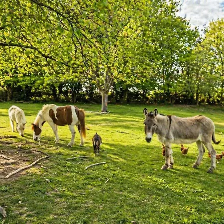 Country house Insolite En Pleine Nature - La De Dim